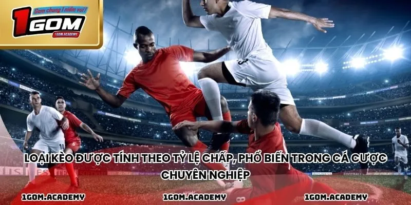 Loại kèo được tính theo tỷ lệ chấp, phổ biến trong cá cược chuyên nghiệp